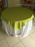 /album/cobre-manchas/cobre-mancha-verde-pistache-capri-jpg1/